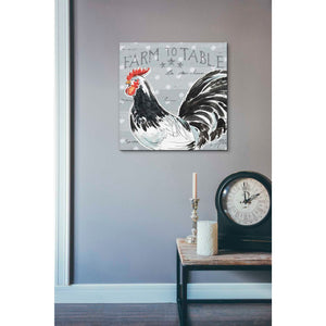 'Roosters Call III' by Daphne Brissonet, Canvas Wall Art,26 x 26