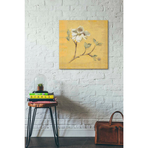 Image of 'Dogwood Blossom on Gold' by Cheri Blum, Canvas Wall Art,26 x 26