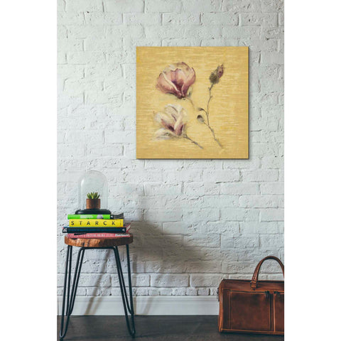 Image of 'Magnolia Blossom on Gold' by Cheri Blum, Canvas Wall Art,26 x 26
