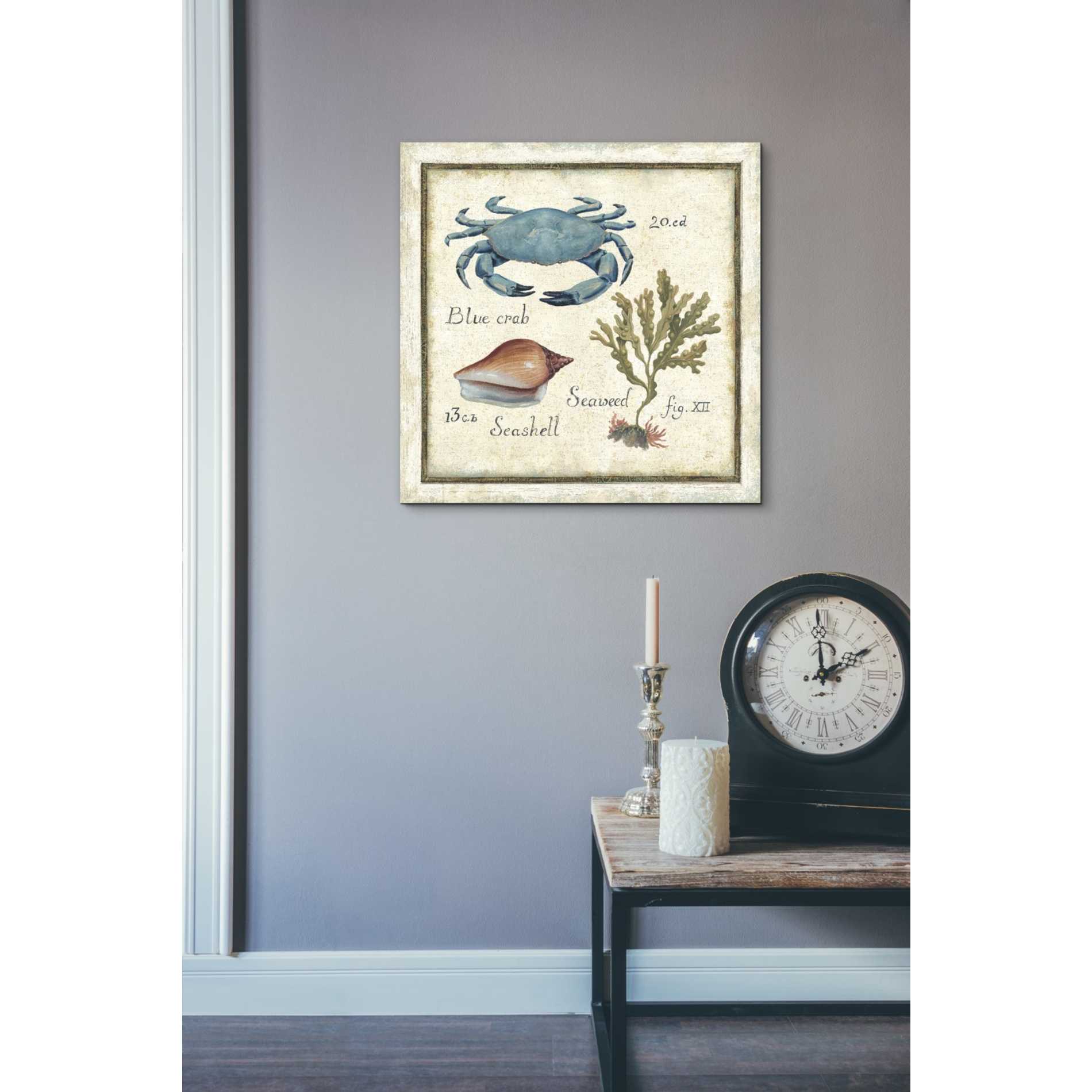 'Oceanography IV' by Daphne Brissonet, Canvas Wall Art,26 x 26