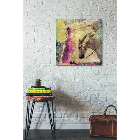 Image of 'White Horse' by Elena Ray Canvas Wall Art,26 x 26