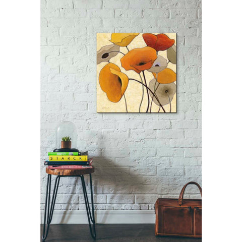 Image of 'Pumpkin Poppies III' by Shirley Novak, Canvas Wall Art,26 x 26