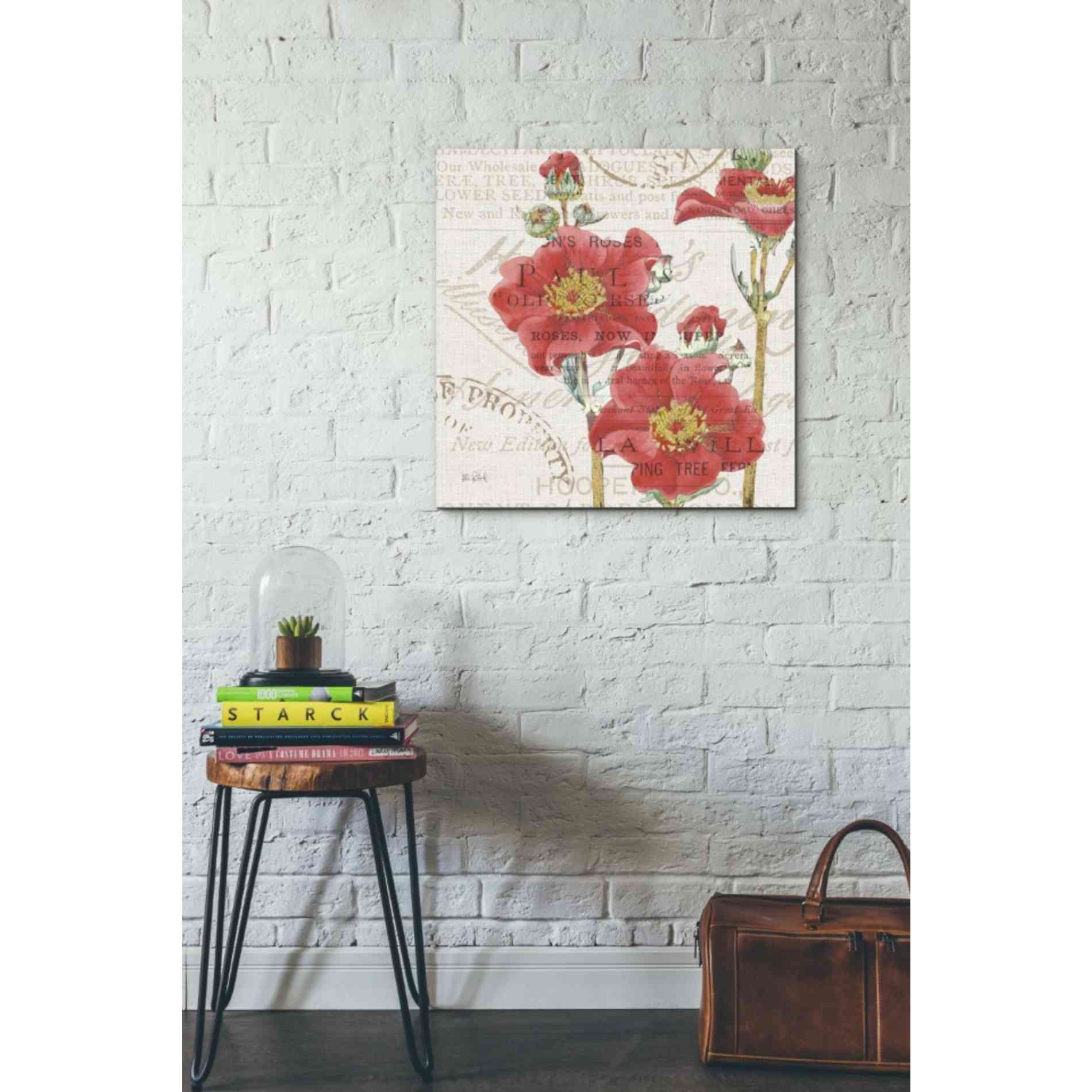 'Bookshelf Botanical V' by Katie Pertiet, Canvas Wall Art,26 x 26