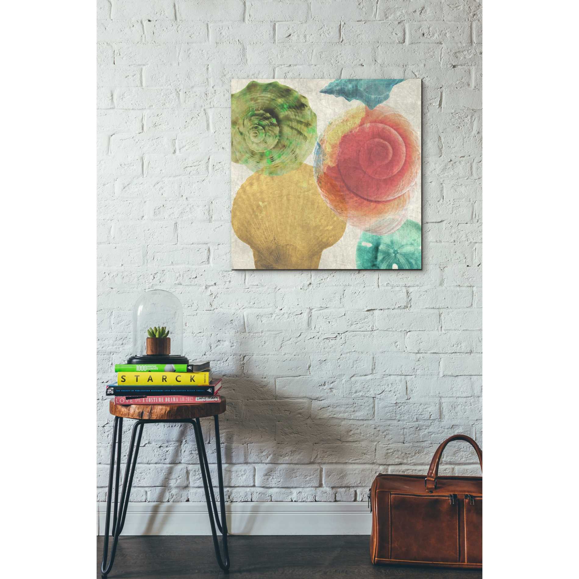 'Luminous Seashells 4' by Elena Ray Canvas Wall Art,26 x 26