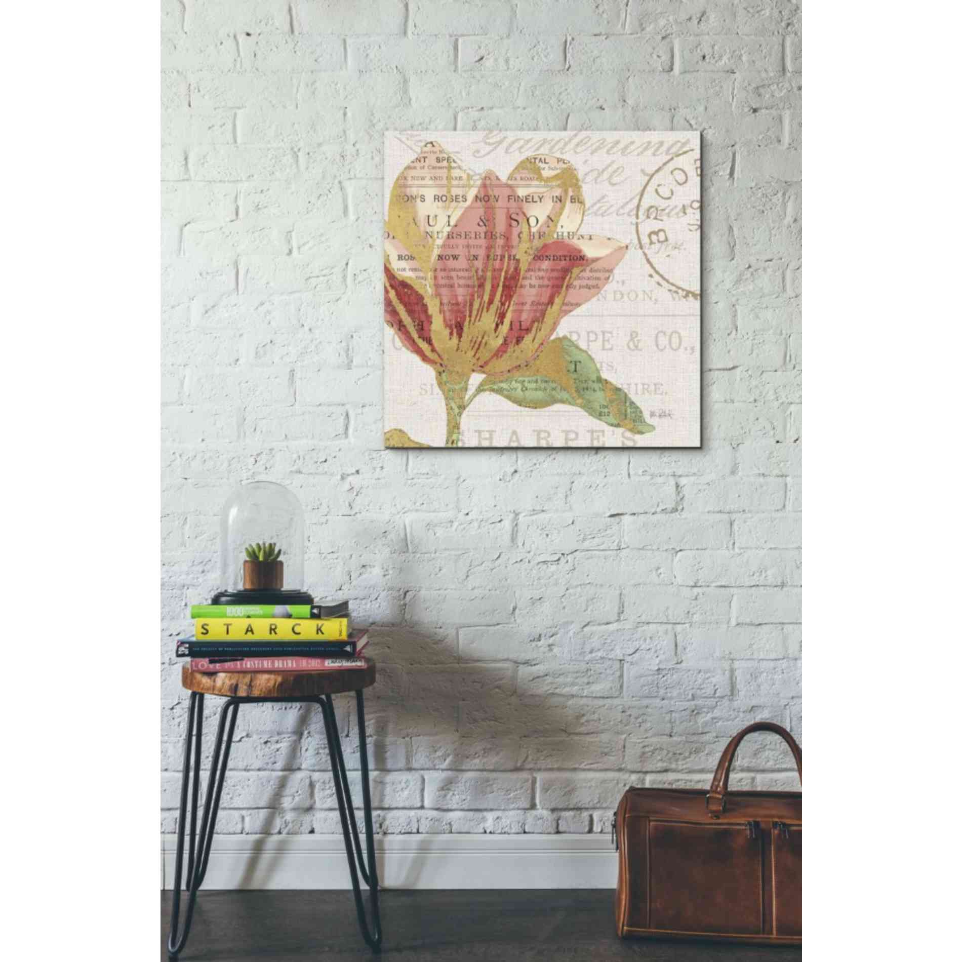 'Bookshelf Botanical III' by Katie Pertiet, Canvas Wall Art,26 x 26