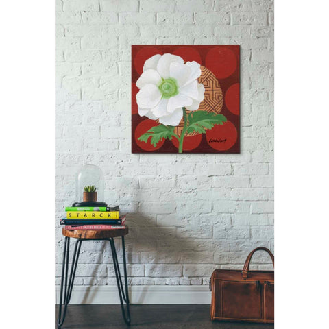Image of 'Morning Anemone' by Kathrine Lovell, Canvas Wall Art,26 x 26