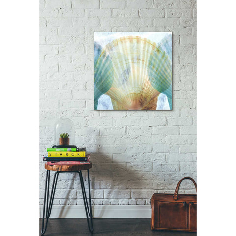 Image of 'Luminous Seashells 2' by Elena Ray Canvas Wall Art,26 x 26