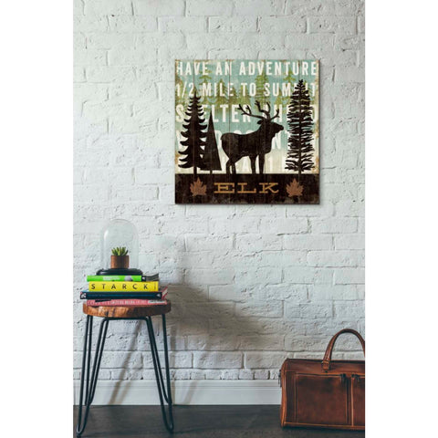 Image of 'Simple Living Elk' by Michael Mullan, Canvas Wall Art,26 x 26