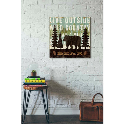 Image of 'Simple Living Bear' by Michael Mullan, Canvas Wall Art,26 x 26