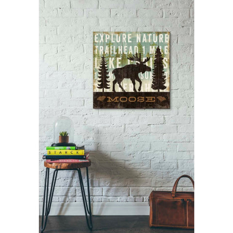 Image of 'Simple Living Moose' by Michael Mullan, Canvas Wall Art,26 x 26