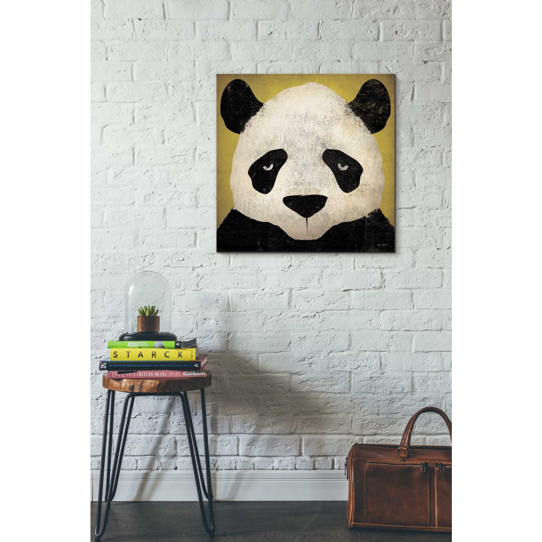 'Panda' by Ryan Fowler, Canvas Wall Art,26 x 26