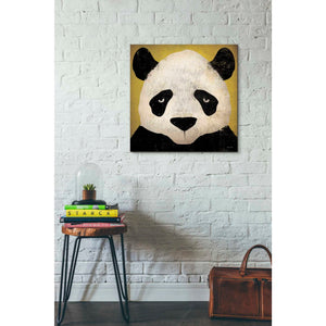 'Panda' by Ryan Fowler, Canvas Wall Art,26 x 26