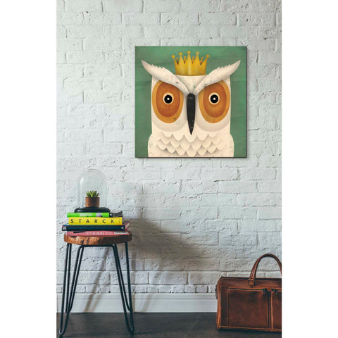 Image of 'White Owl with Crown' by Ryan Fowler, Canvas Wall Art,26 x 26