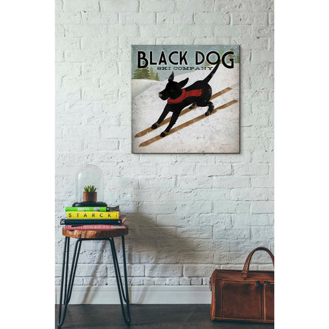 Image of 'Black Dog Ski' by Ryan Fowler, Canvas Wall Art,26 x 26