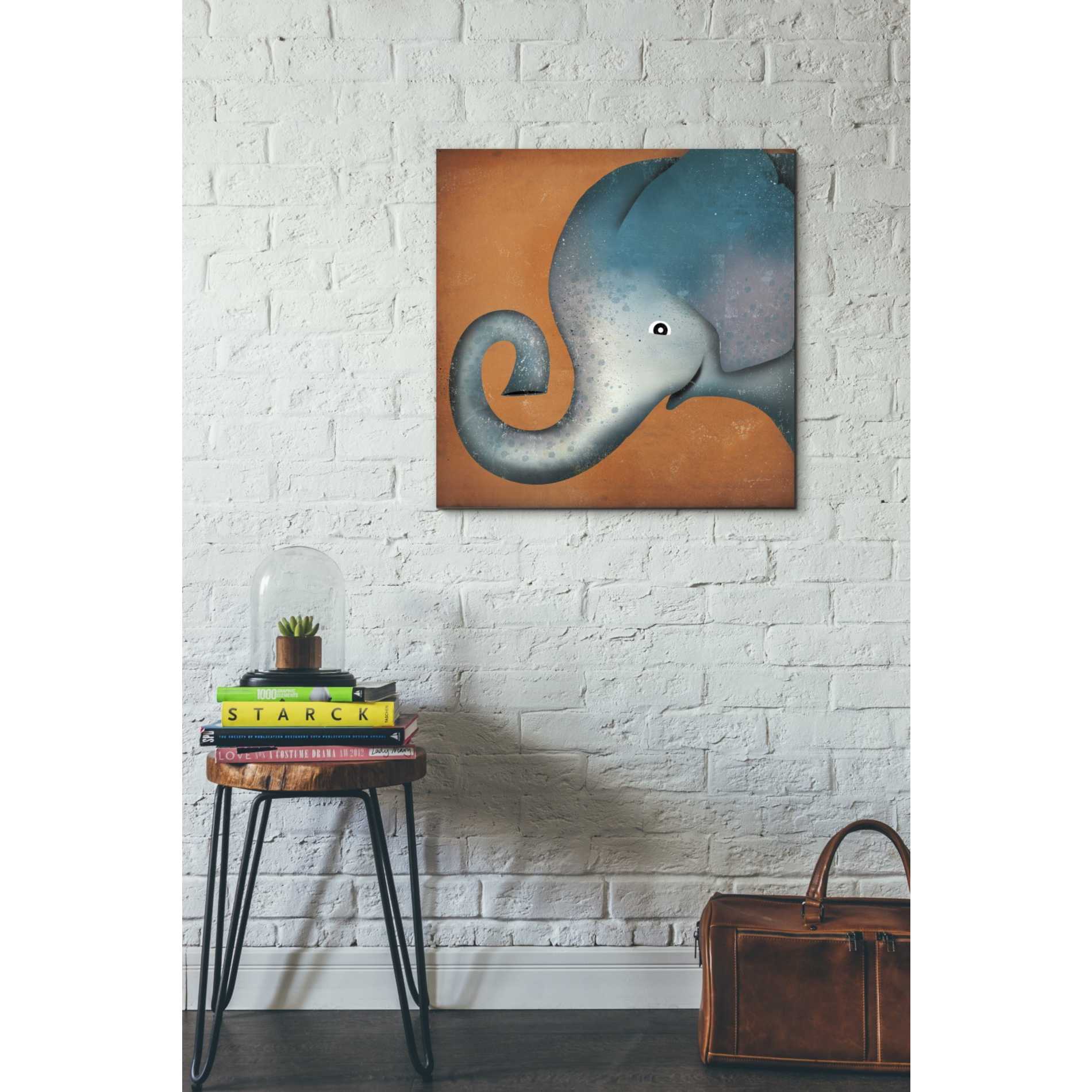 'Elephant Wow' by Ryan Fowler, Canvas Wall Art,26 x 26