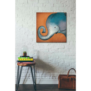 'Elephant Wow' by Ryan Fowler, Canvas Wall Art,26 x 26