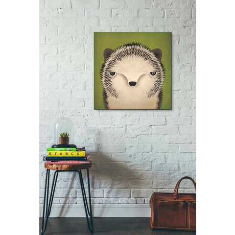 Image of 'Baby Hedgehog' by Ryan Fowler, Canvas Wall Art,26 x 26
