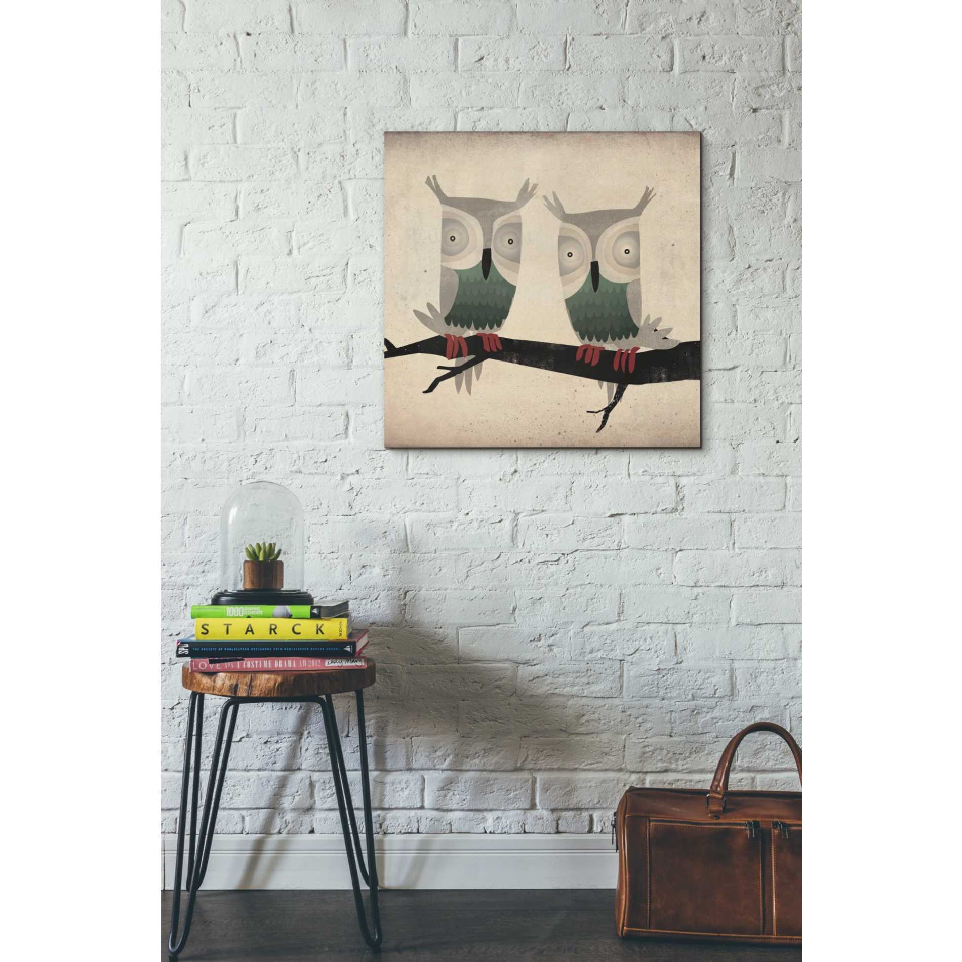'Tan Owls Square' by Ryan Fowler, Canvas Wall Art,26 x 26