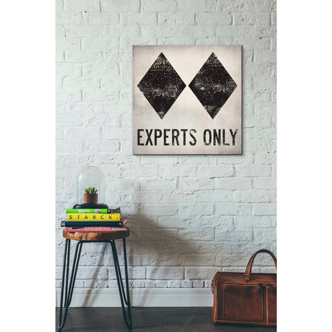 Image of 'Experts Only White' by Ryan Fowler, Canvas Wall Art,26 x 26