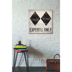 'Experts Only White' by Ryan Fowler, Canvas Wall Art,26 x 26