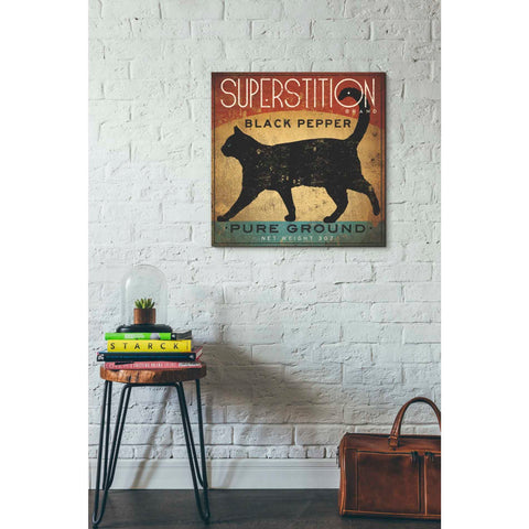 Image of 'Superstition Black Pepper Cat' by Ryan Fowler, Canvas Wall Art,26 x 26