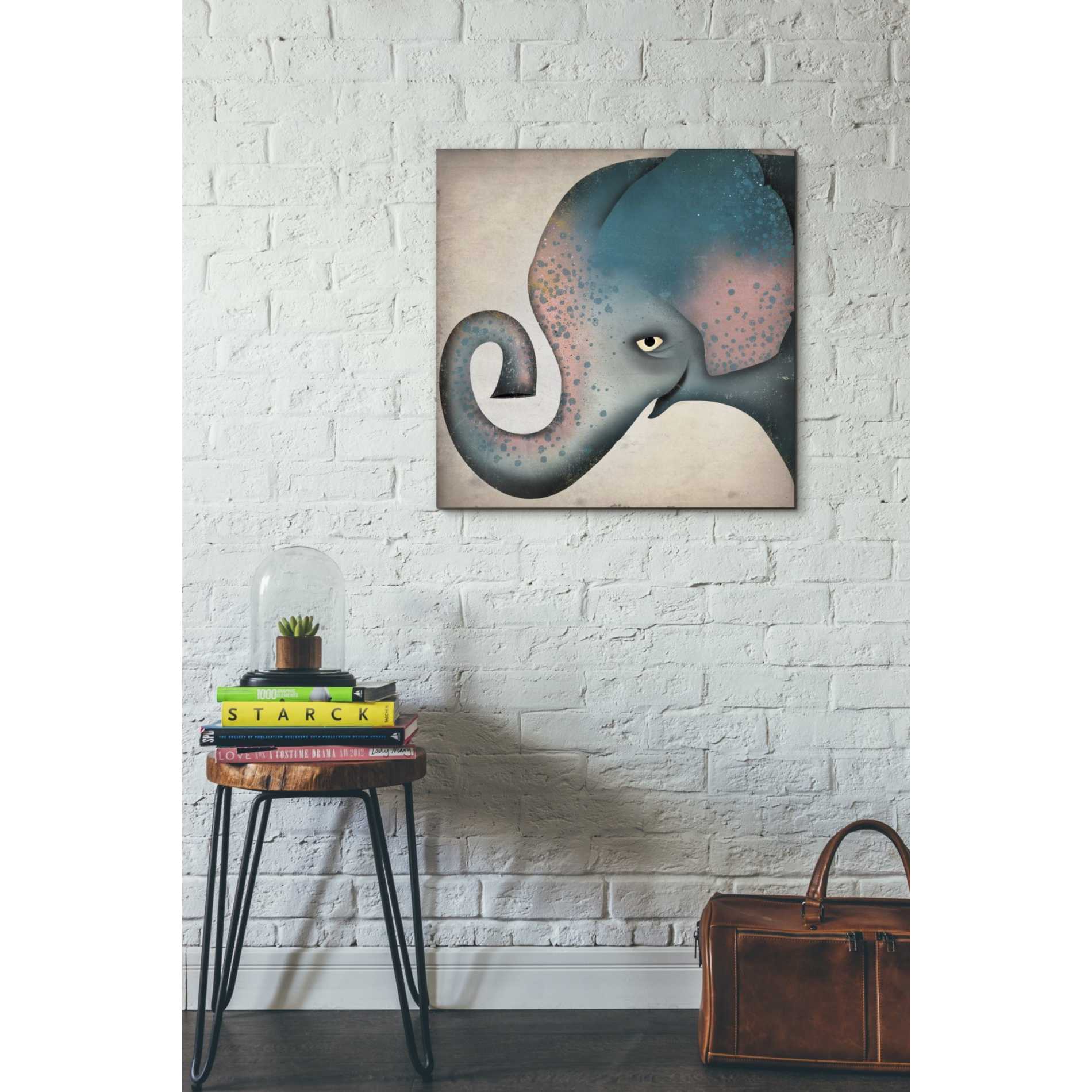 'Elephant Wow II' by Ryan Fowler, Canvas Wall Art,26 x 26