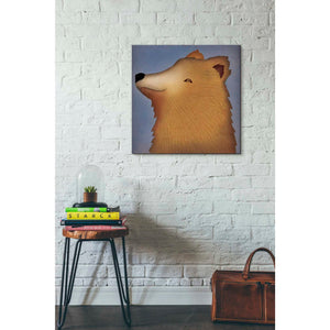 'Brown Bear Wow' by Ryan Fowler, Canvas Wall Art,26 x 26