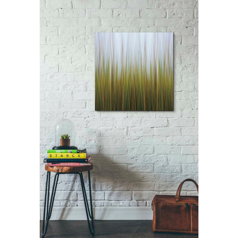 Image of 'Sea Grass Canvas' by Katherine Gendreau, Giclee Canvas Wall Art