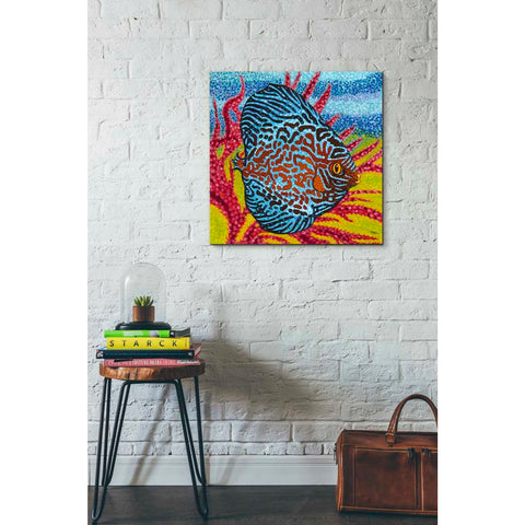Image of 'Brilliant Tropical Fish II' by Carolee Vitaletti Giclee Canvas Wall Art