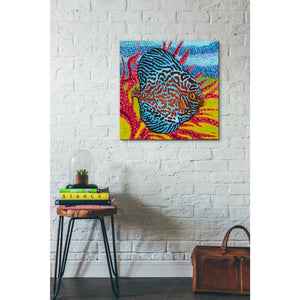 'Brilliant Tropical Fish II' by Carolee Vitaletti Giclee Canvas Wall Art