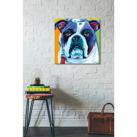 Image of 'Cute Pups II' by Carolee Vitaletti Giclee Canvas Wall Art