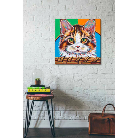 Image of 'Kitten in Basket II' by Carolee Vitaletti Giclee Canvas Wall Art