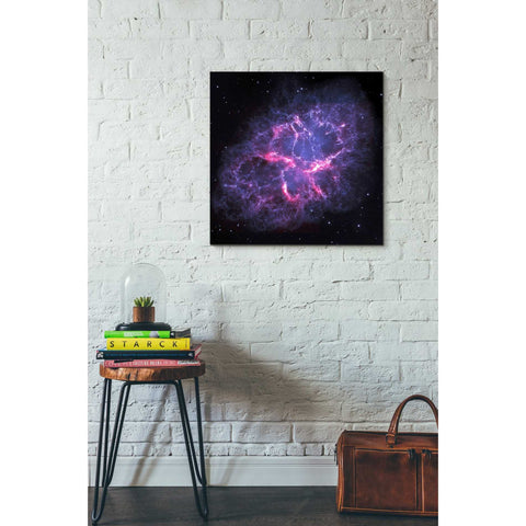 Image of 'Crab Nebula' Hubble Space Telescope Canvas Wall Art,26 x 26