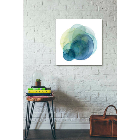 Image of 'Evolving Planets IV' by Grace Popp Canvas Wall Art,26 x 26