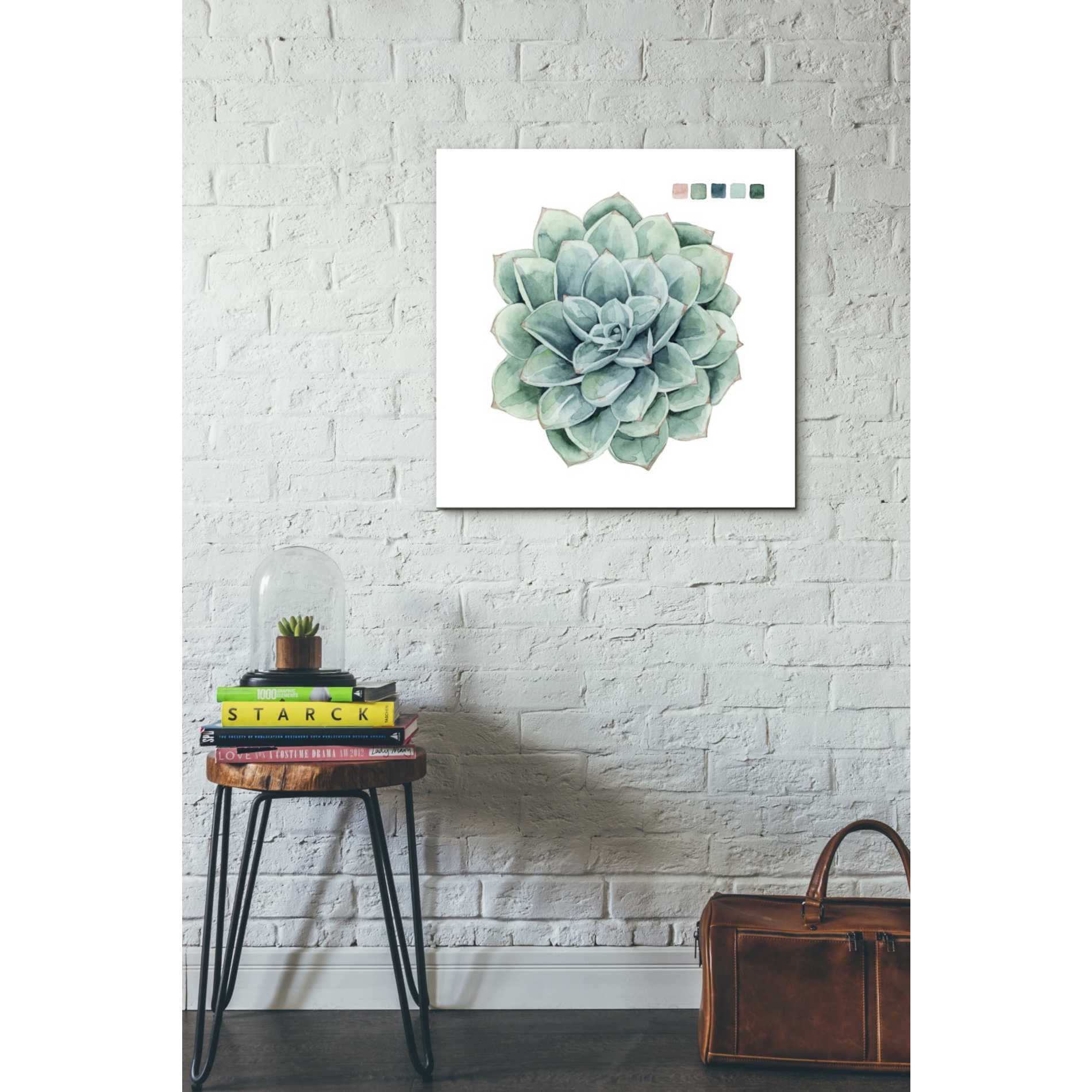 'Succulent I' by Grace Popp Canvas Wall Art,26 x 26