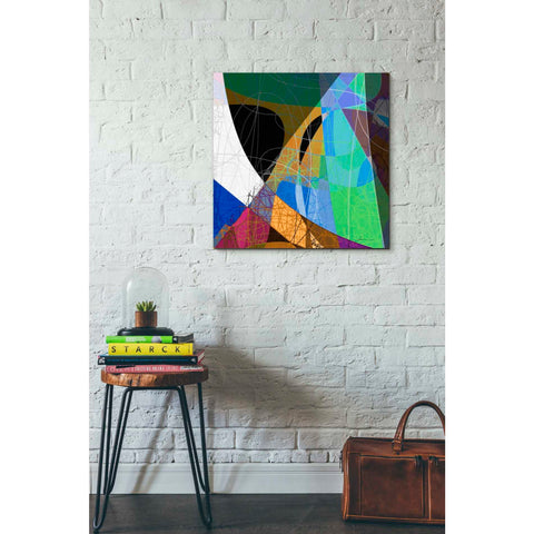 Image of 'Entangled II' by James Burghardt Giclee Canvas Wall Art