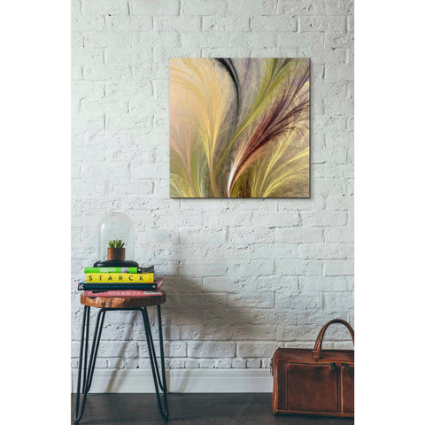 Image of 'Fountain Grass I' by James Burghardt Giclee Canvas Wall Art