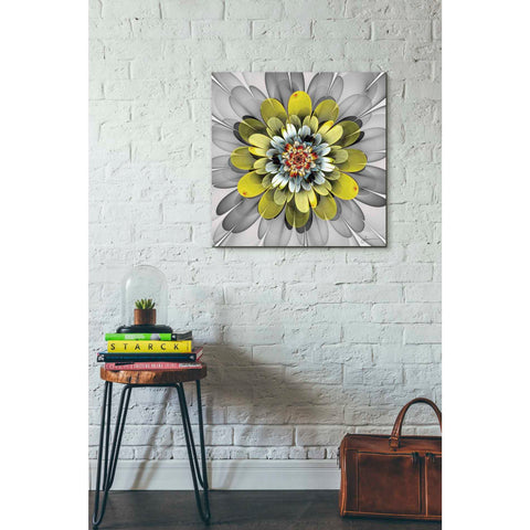 Image of 'Fractal Blooms IV' by James Burghardt Giclee Canvas Wall Art