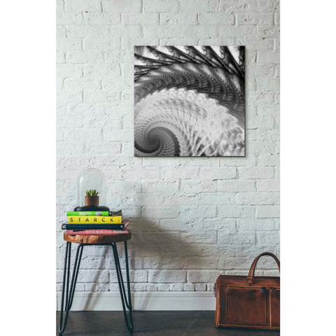 Image of 'Helix I' by James Burghardt Giclee Canvas Wall Art