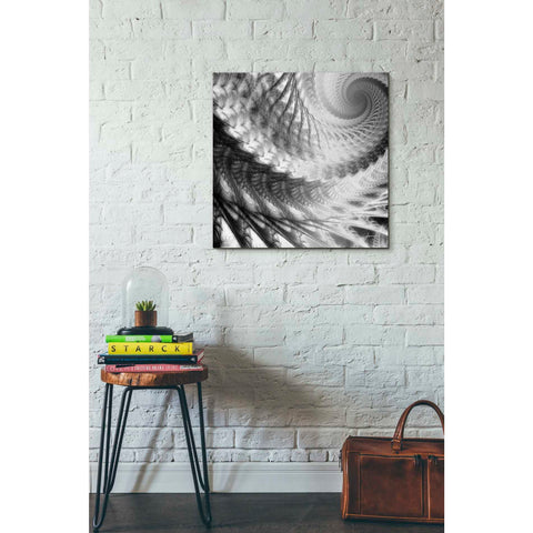 Image of 'Helix II' by James Burghardt Giclee Canvas Wall Art