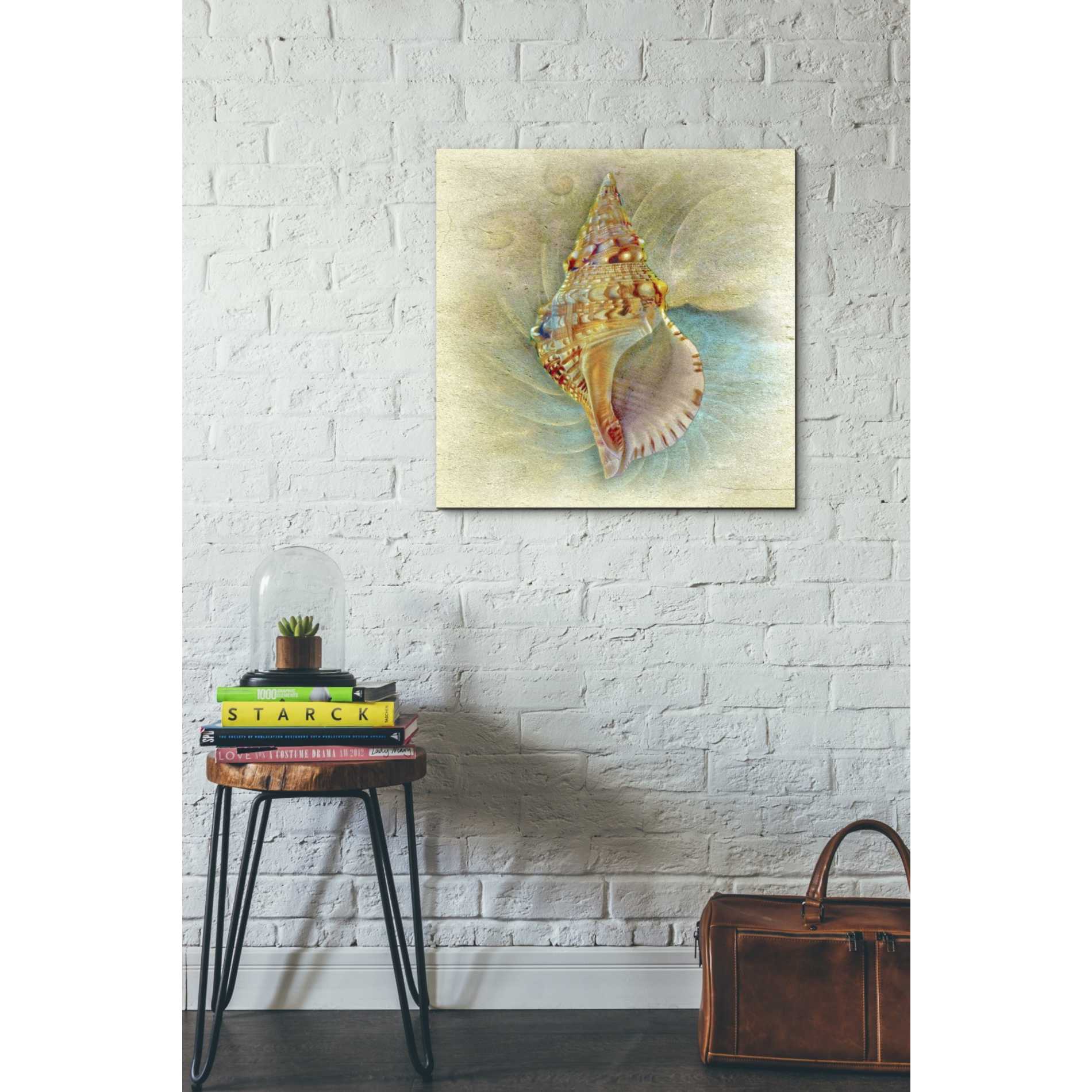 'Aquatica I' by Steve Hunziker Giclee Canvas Wall Art