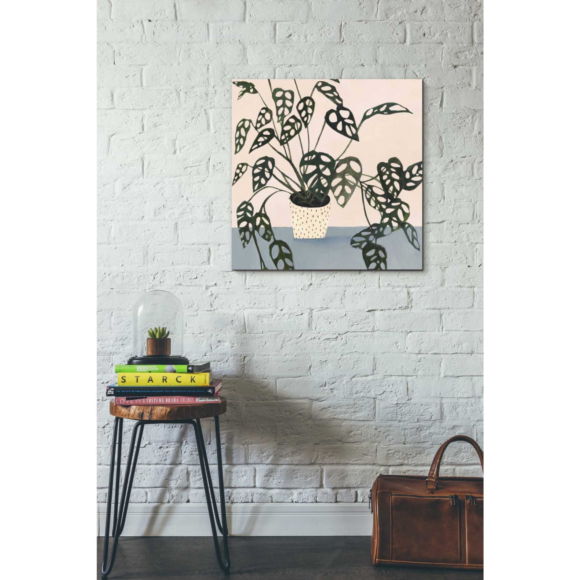 'Houseplant I' by Victoria Borges Canvas Wall Art,26 x 26