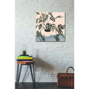 'Houseplant I' by Victoria Borges Canvas Wall Art,26 x 26