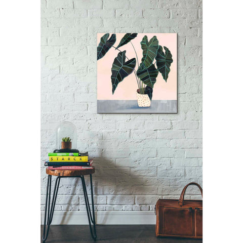 Image of 'Houseplant II' by Victoria Borges Canvas Wall Art,26 x 26