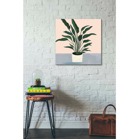 Image of 'Houseplant IV' by Victoria Borges Canvas Wall Art,26 x 26