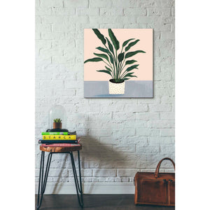 'Houseplant IV' by Victoria Borges Canvas Wall Art,26 x 26