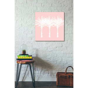 'White And Pink Palm Trees' by Linda Woods, Canvas Wall Art,26 x 26
