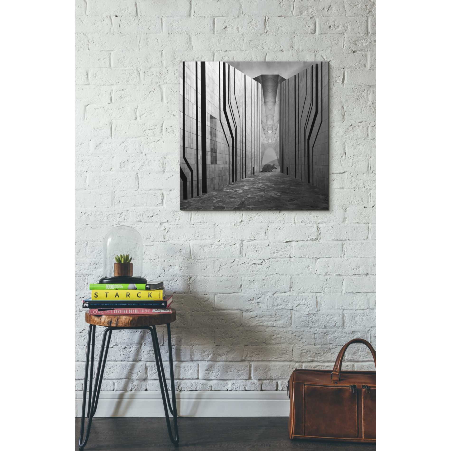 'Armadillo' by Dariusz Klimczak, Giclee Canvas Wall Art