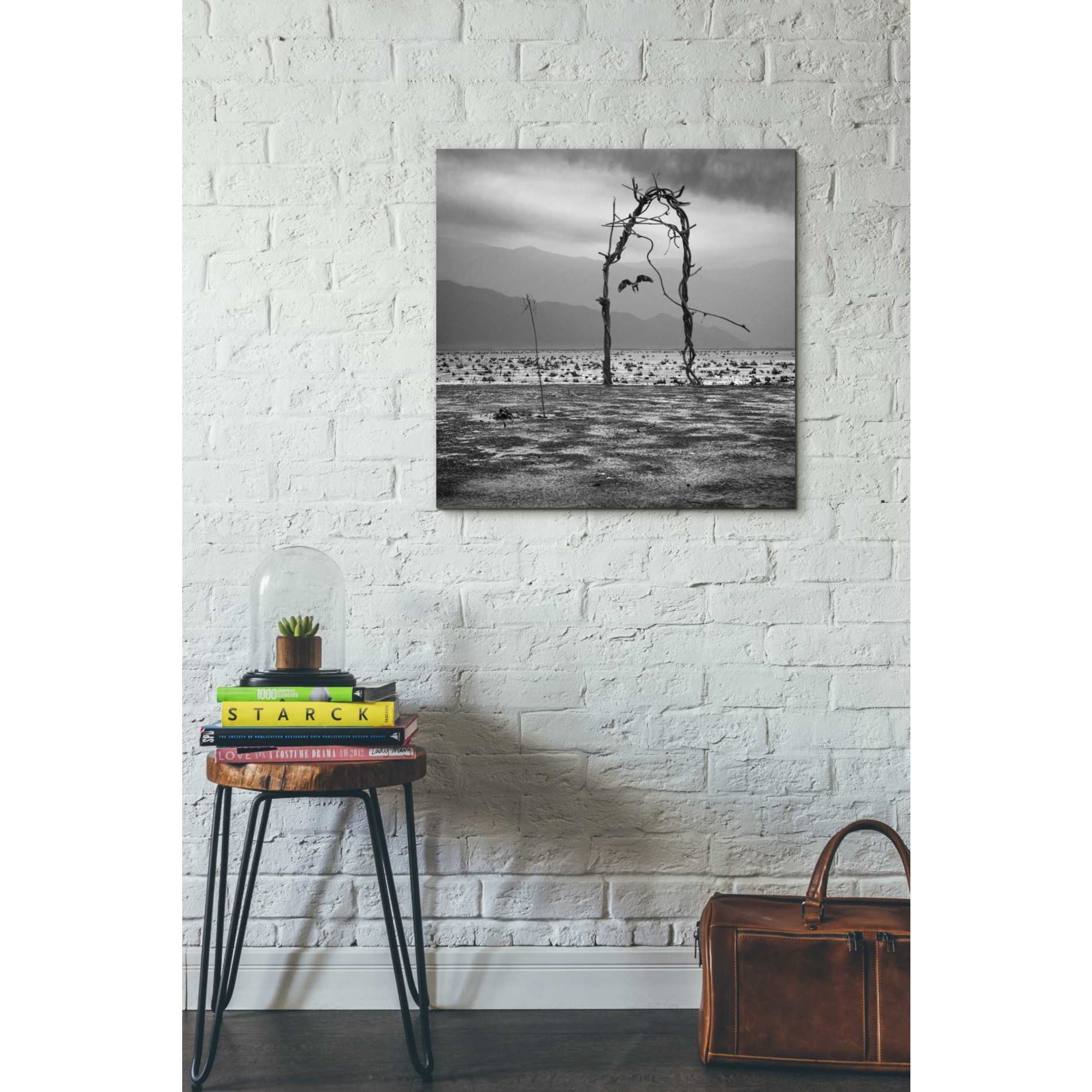 'Eagle' by Dariusz Klimczak, Giclee Canvas Wall Art