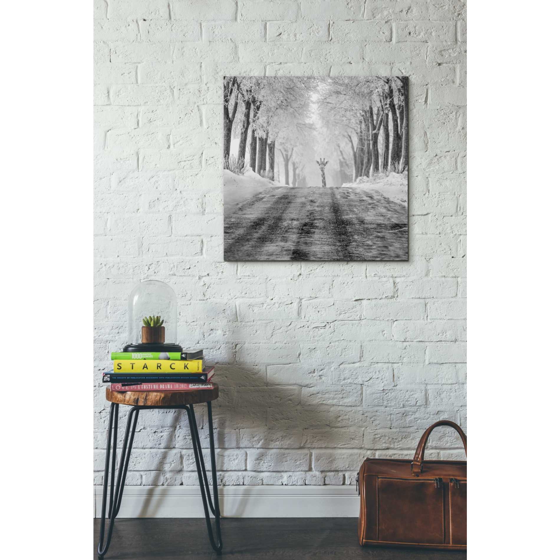 'Surprise' by Dariusz Klimczak, Giclee Canvas Wall Art